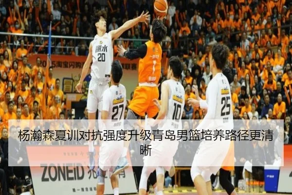 杨瀚森夏训对抗强度升级青岛男篮培养路径更清晰